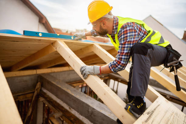 Best Roof Gutter Cleaning  in Van Wert, OH